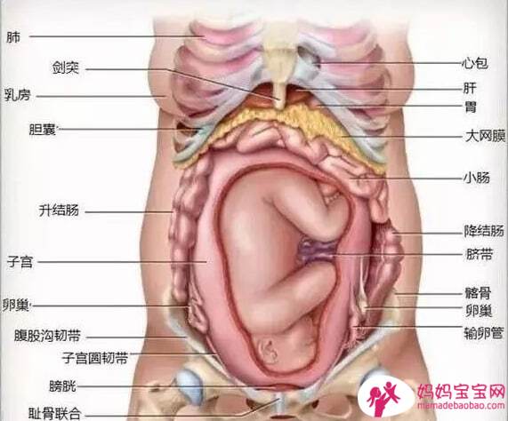 孕期尿频改善6法