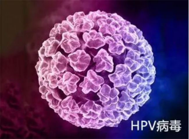 了解HPV：预防与治疗全攻略