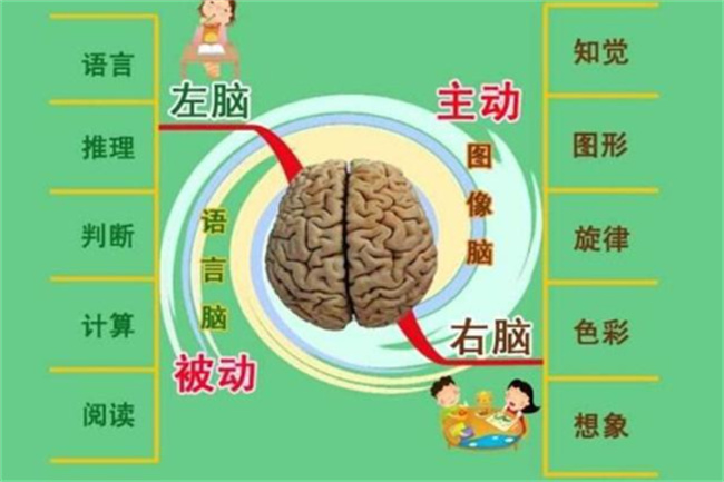 培养宝宝记忆力的科学方法